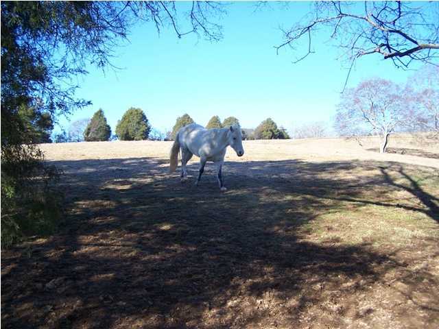 78 Rivers Edge Road, Unit A Dunlap, TN 37327 - Photo 11 of 13 Additional Photo