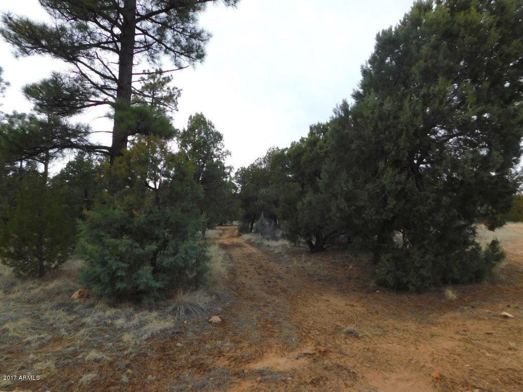 2176 Gingerbread Trail, Unit 32 Overgaard, AZ 85933 - Photo 1 of 15 2176 Gingerbread Lane 1