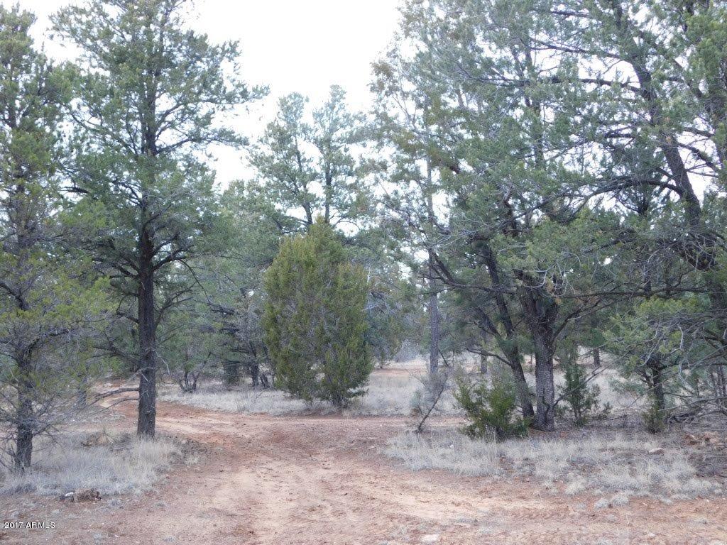 2176 Gingerbread Trail, Unit 32 Overgaard, AZ 85933 - Photo 11 of 15 2176 Gingerbread LN (11)