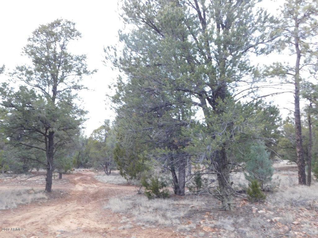 2176 Gingerbread Trail, Unit 32 Overgaard, AZ 85933 - Photo 13 of 15 2176 Gingerbread LN (13)