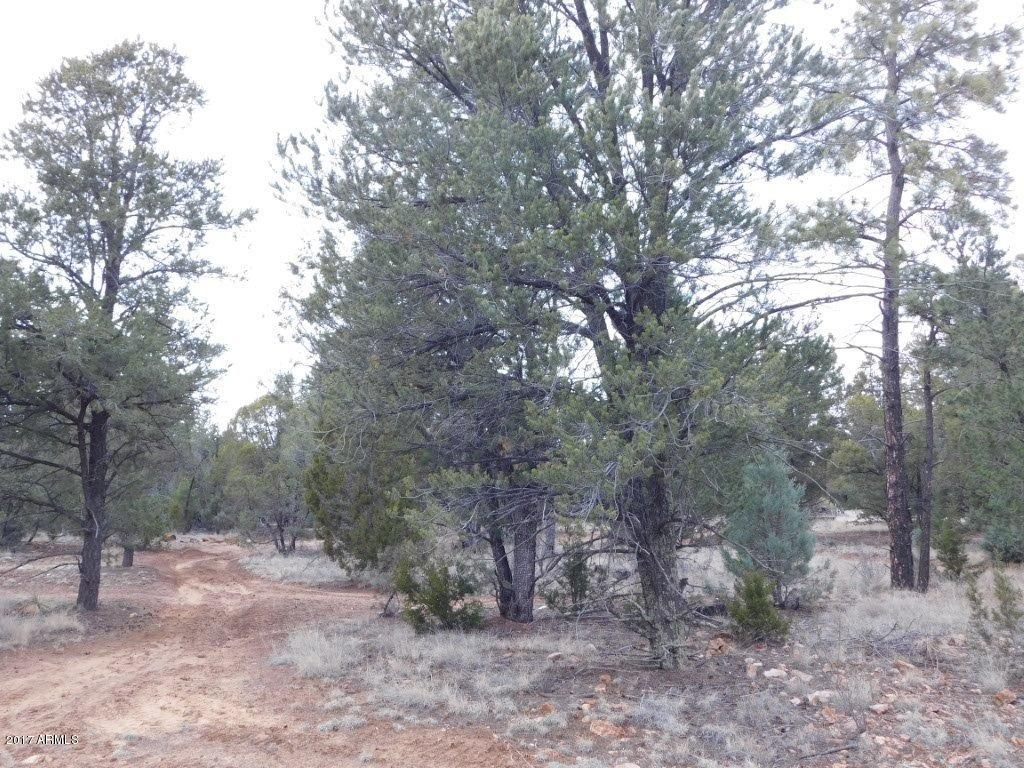 2176 Gingerbread Trail, Unit 32 Overgaard, AZ 85933 - Photo 14 of 15 2176 Gingerbread LN (14)