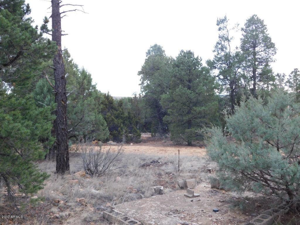 2176 Gingerbread Trail, Unit 32 Overgaard, AZ 85933 - Photo 7 of 15 2176 Gingerbread LN (7)