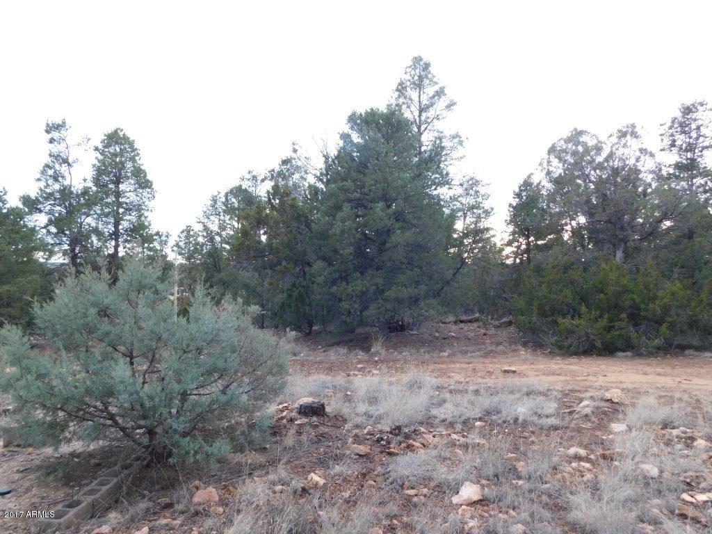2176 Gingerbread Trail, Unit 32 Overgaard, AZ 85933 - Photo 8 of 15 2176 Gingerbread LN (8)