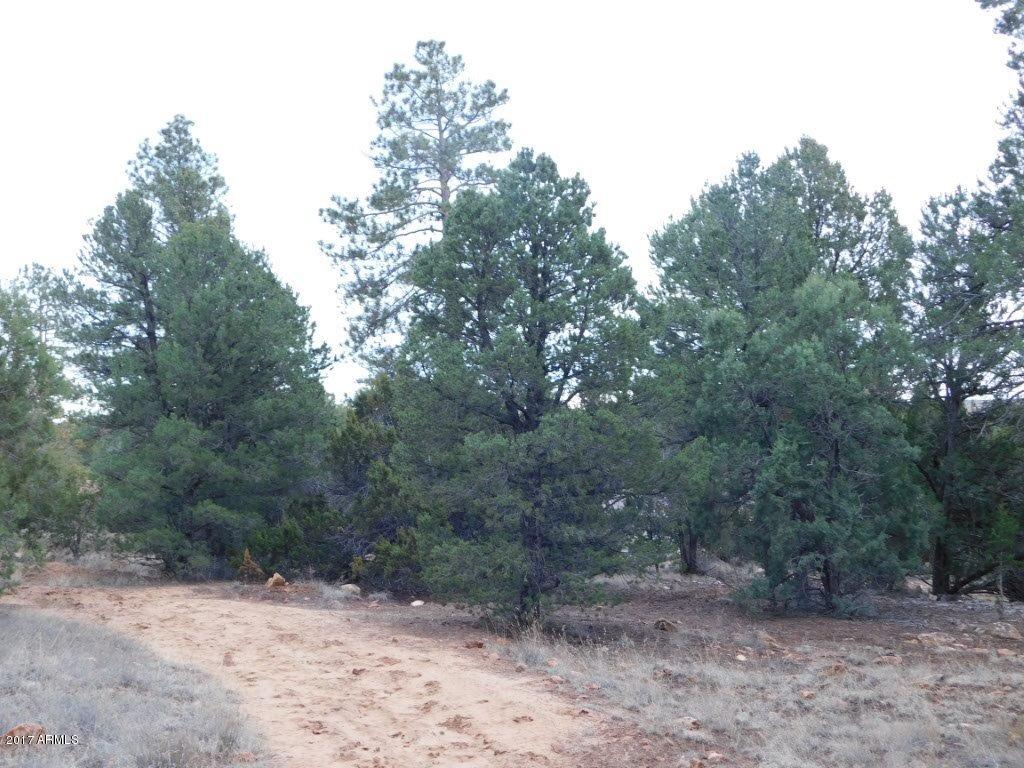2176 Gingerbread Trail, Unit 32 Overgaard, AZ 85933 - Photo 10 of 15 2176 Gingerbread LN (10)