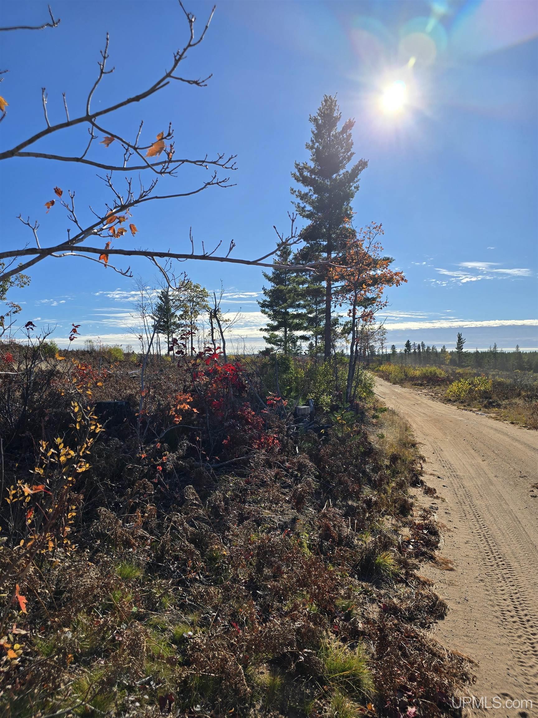 240-acres Co Rd Aaa Road Big Bay, MI 49808 - Photo 8 of 25