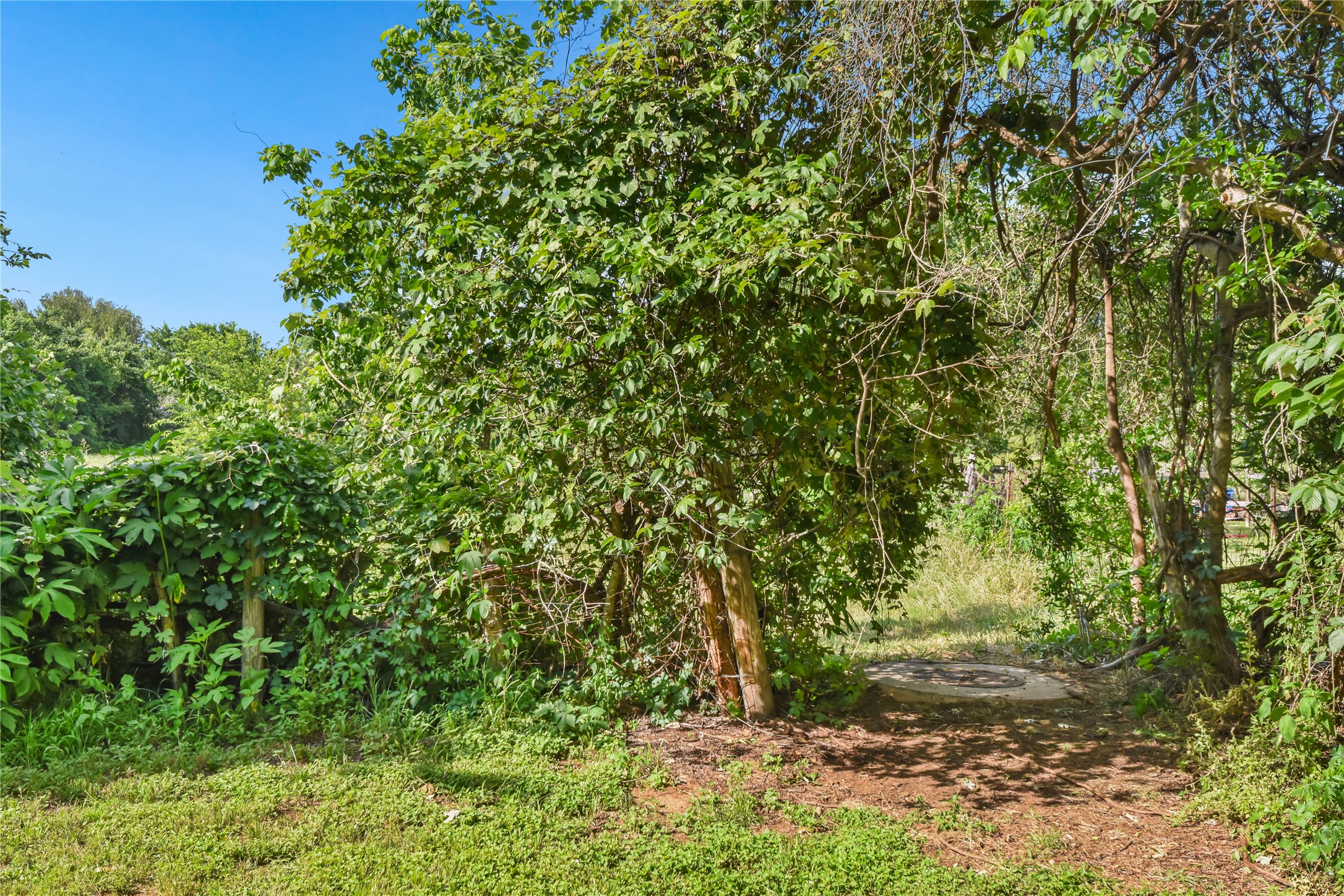 528 Old McDade Road Elgin, TX 78621 - Photo 35 of 40