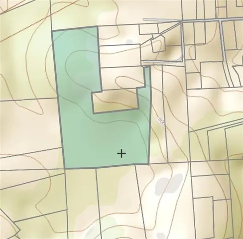 a view of a basket ball