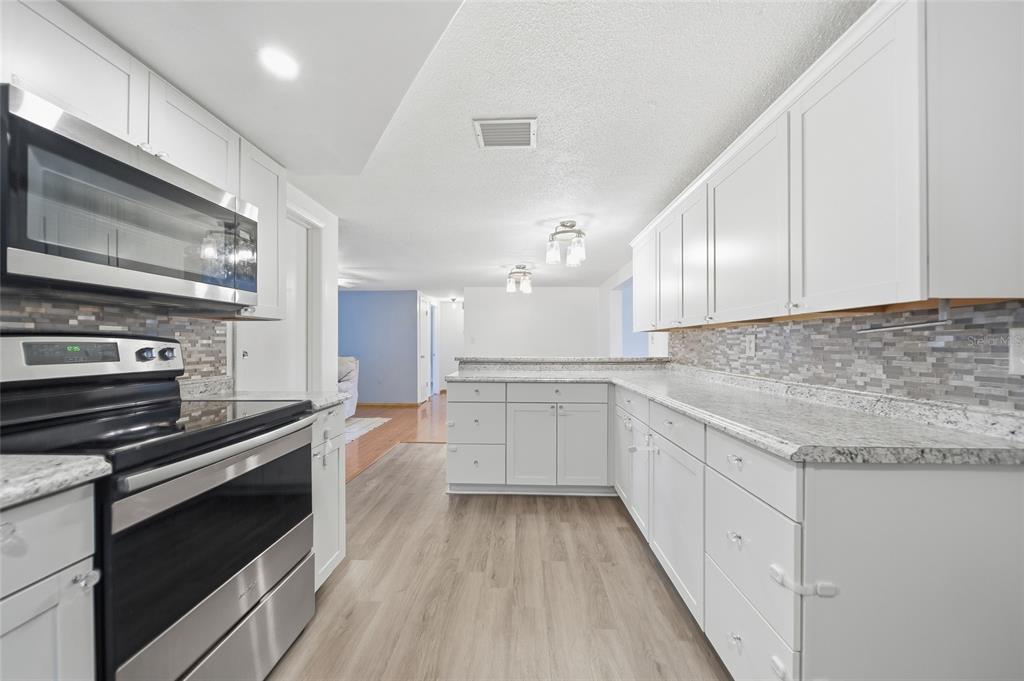 9316 Mark Twain Lane Port Richey, FL 34668 - Photo 3 of 17