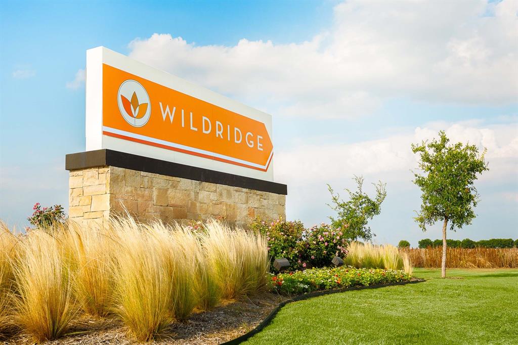 9011 Wildberry Road Oak Point, TX 75068 - Photo 18 of 39