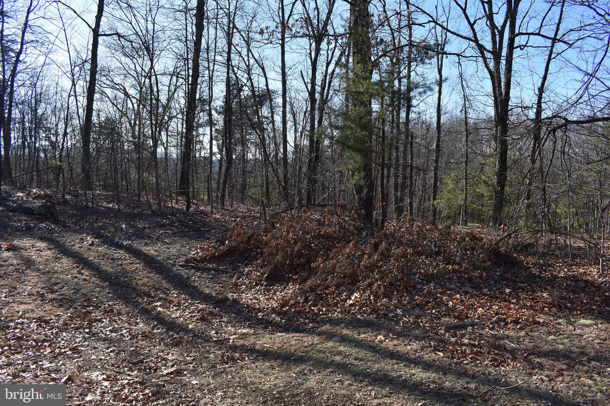 Lot 22 Fable Road Hedgesville, WV 25427 - Photo 12 of 20 Gallery Image 12