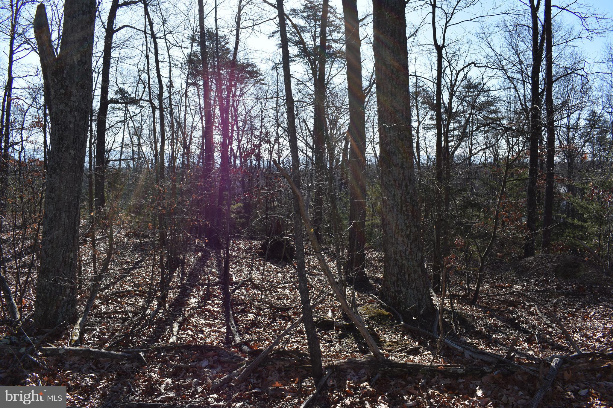 Lot 22 Fable Road Hedgesville, WV 25427 - Photo 14 of 20 Gallery Image 14