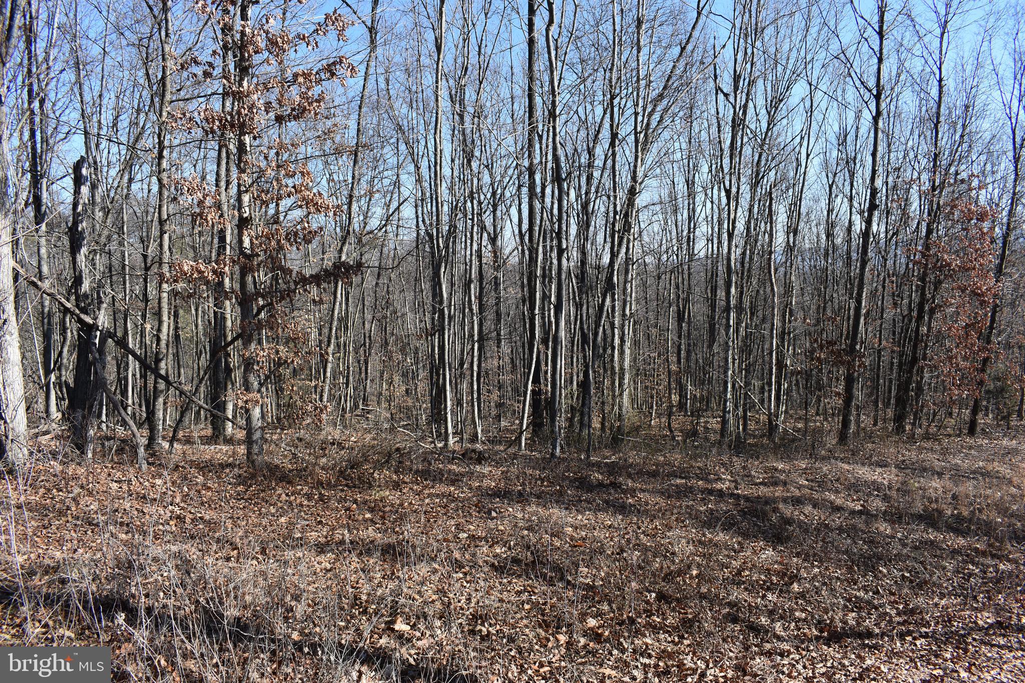 Lot 22 Fable Road Hedgesville, WV 25427 - Photo 15 of 20 Gallery Image 15