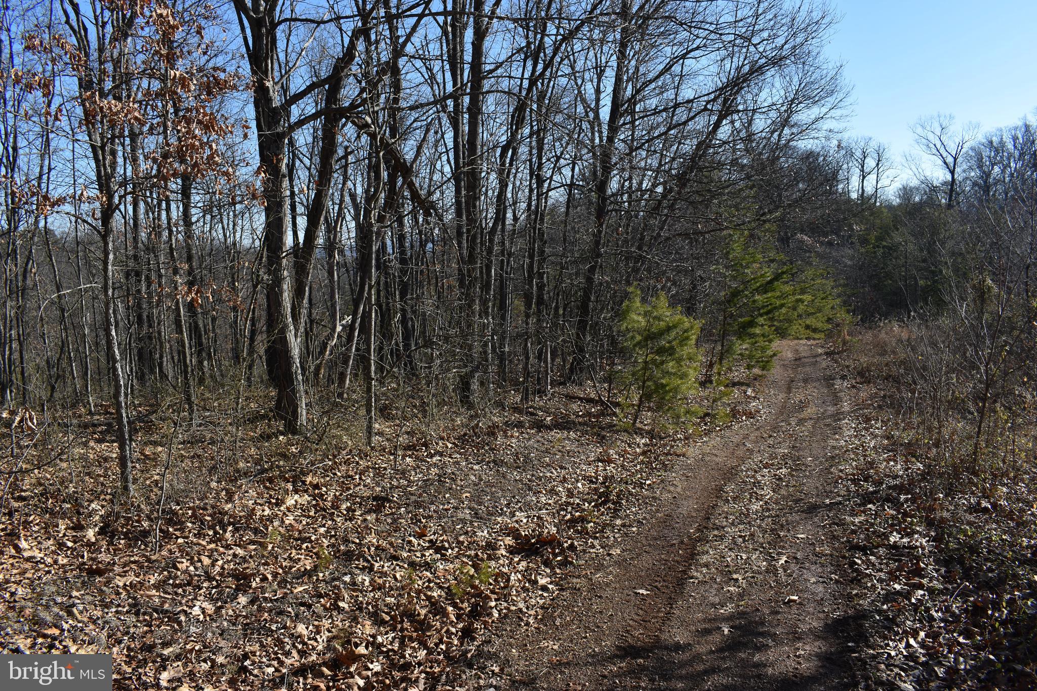 Lot 22 Fable Road Hedgesville, WV 25427 - Photo 16 of 20 Gallery Image 16