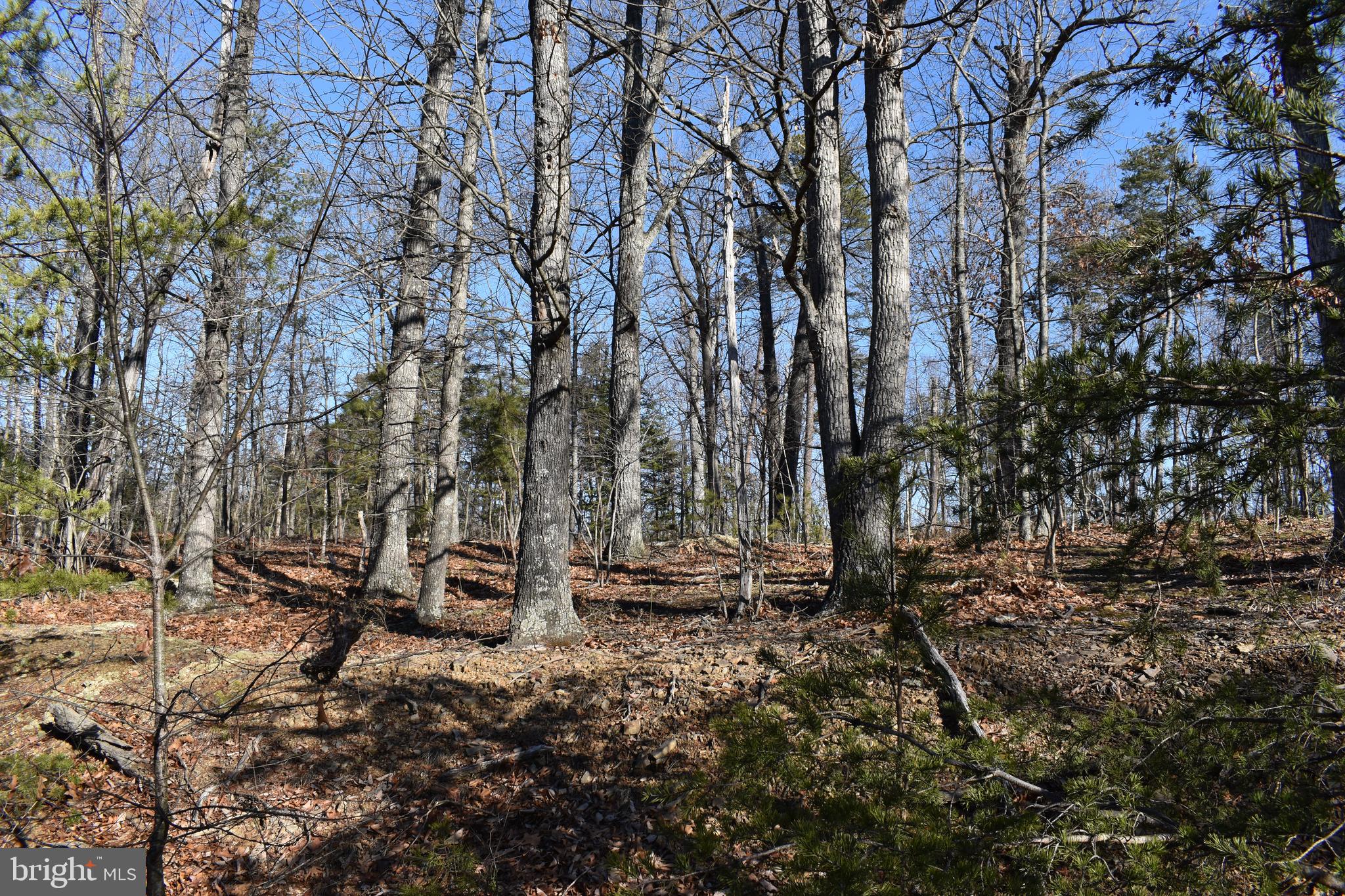 Lot 22 Fable Road Hedgesville, WV 25427 - Photo 18 of 20 Gallery Image 18