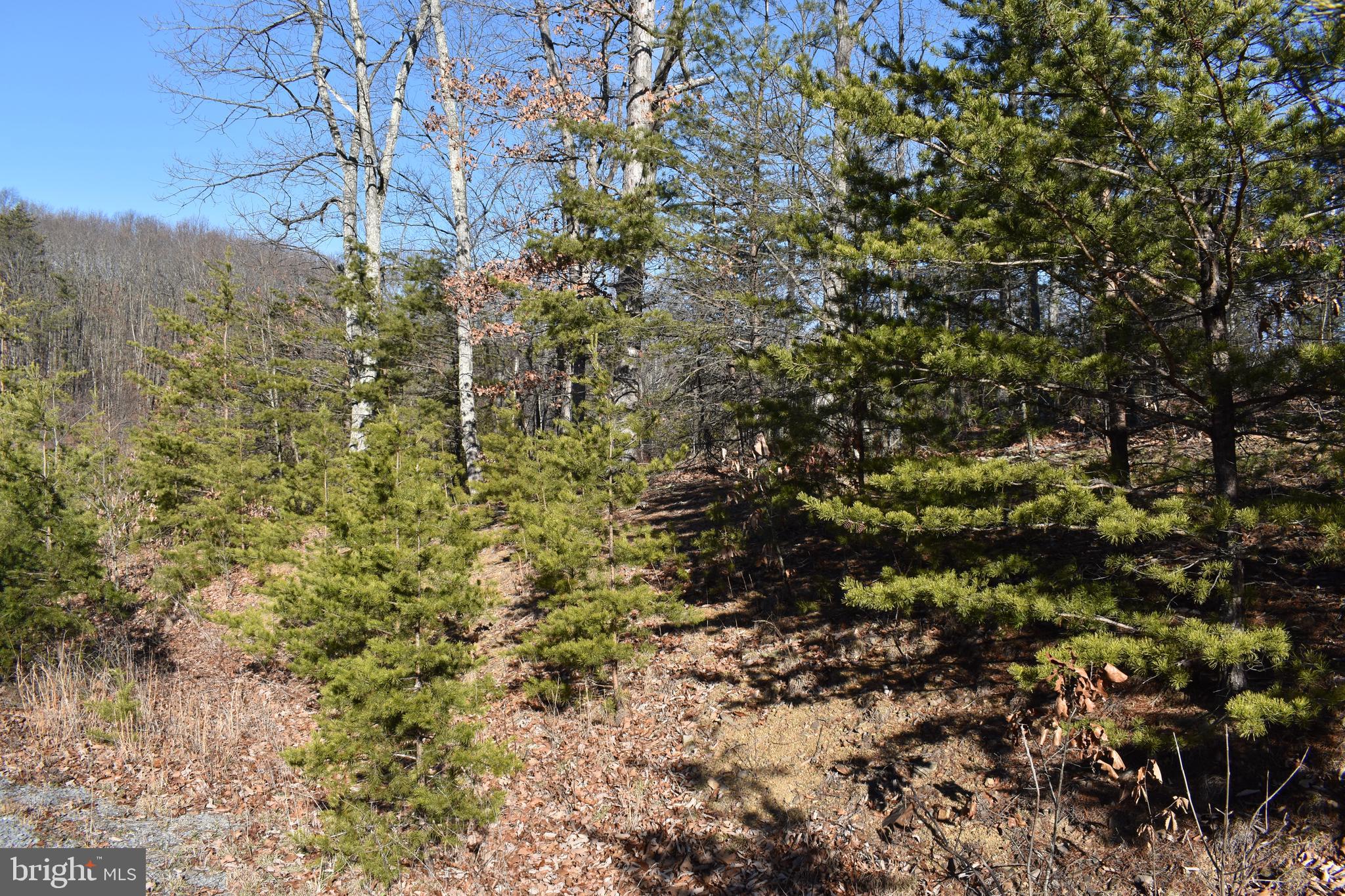 Lot 22 Fable Road Hedgesville, WV 25427 - Photo 19 of 20 Gallery Image 19