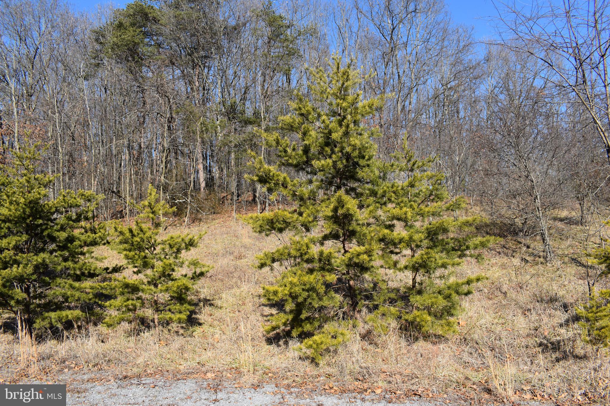 Lot 22 Fable Road Hedgesville, WV 25427 - Photo 20 of 20 Gallery Image 20