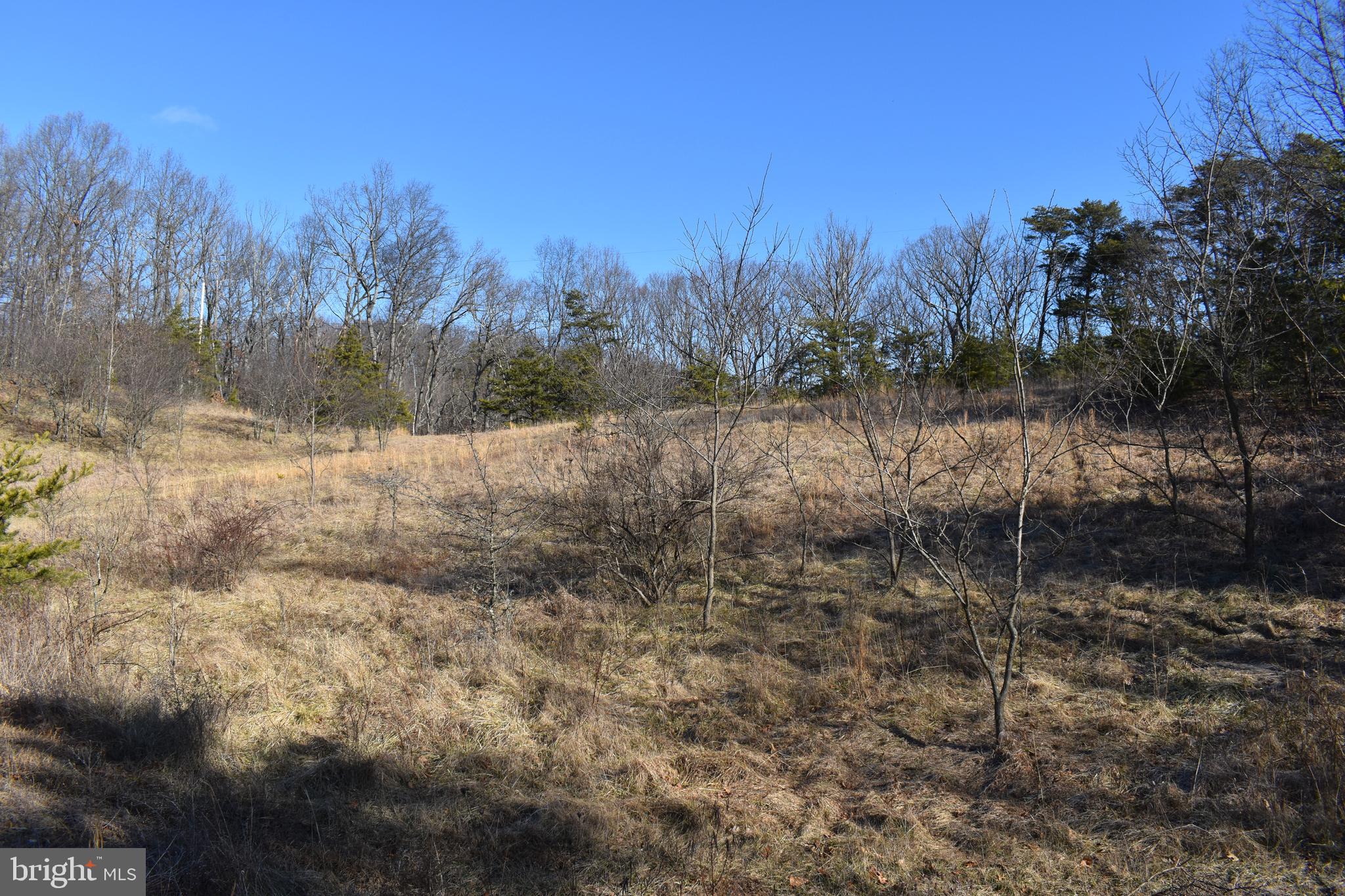 Lot 22 Fable Road Hedgesville, WV 25427 - Photo 3 of 20 Gallery Image 3