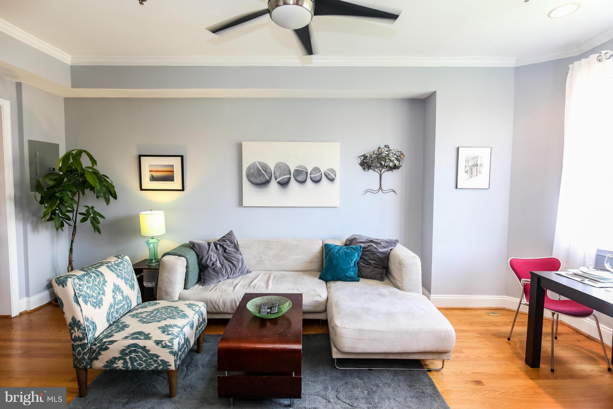 1438 Columbia Road Northwest, Unit 402 Washington, DC 20009 - Photo 6 of 12 a living room with furniture and a potted plant on a coffee table