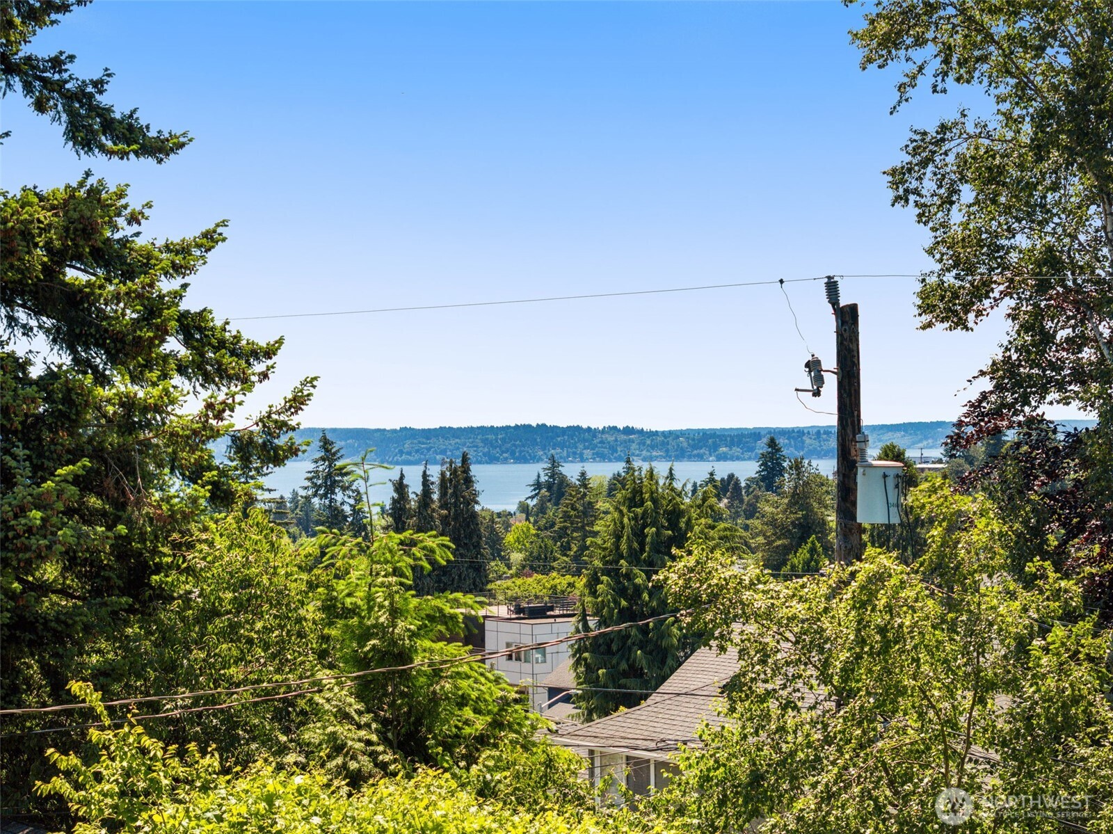 4117 45th Avenue Southwest Seattle, WA 98116 - Photo 18 of 31