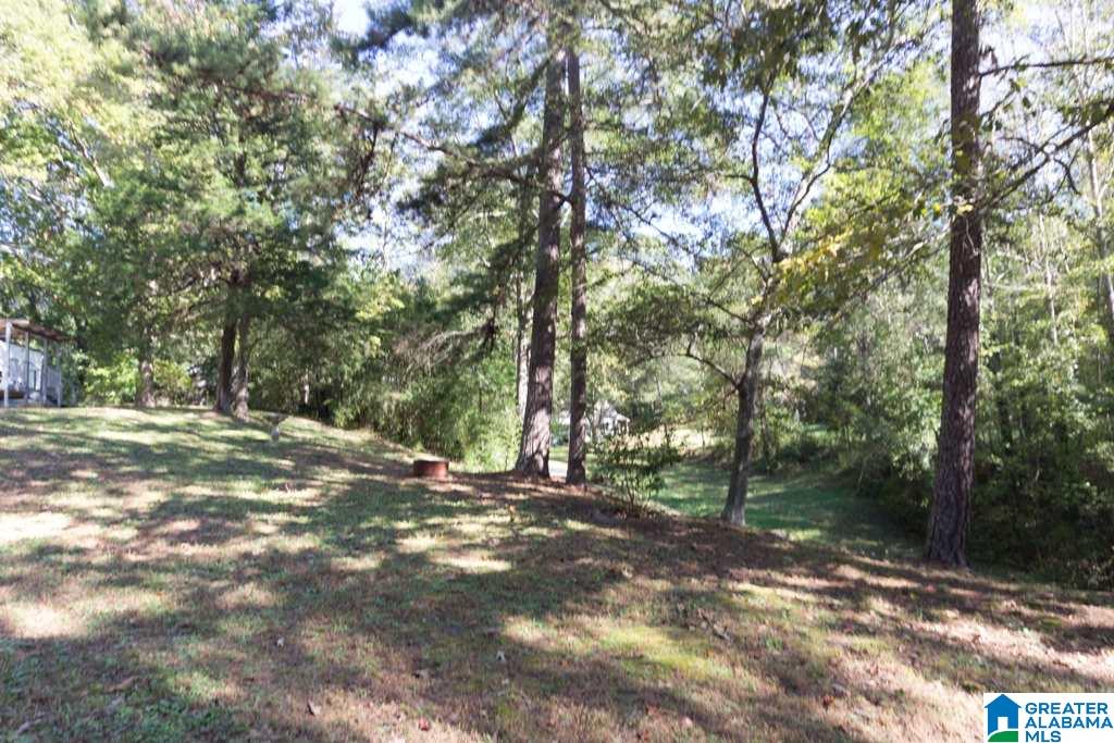 359 Jewell Road, Unit 1 73 Oxford, AL 36203 - Photo 40 of 46