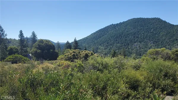 $50,000 | 9176 Diamond Dust Trail, Kelseyville, CA 95451