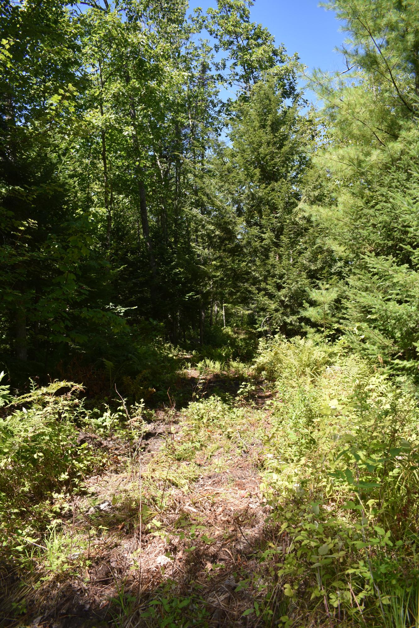 Lot 0012 Pound Road Harrison, ME 04040 - Photo 7 of 13 DSC_0124