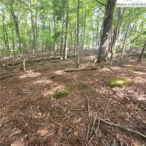 a view of outdoor space with trees
