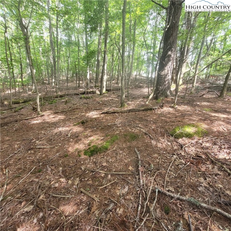 a view of outdoor space with trees