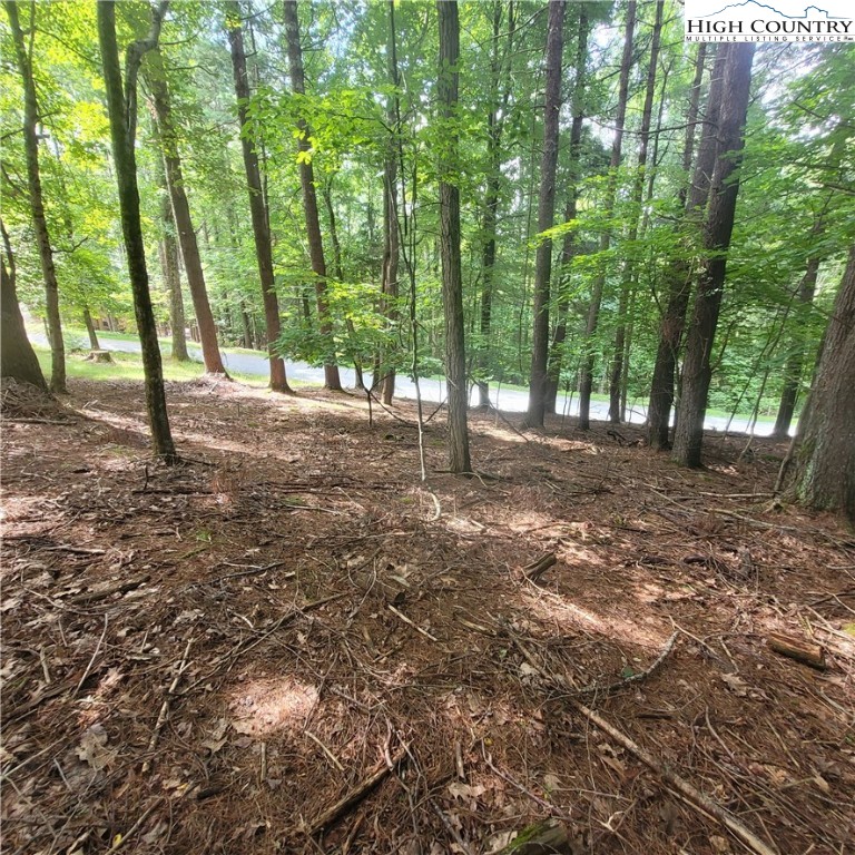 102 Oak Road Beech Mountain, NC 28604 - Photo 3 of 10 a view of dirt yard with a trees