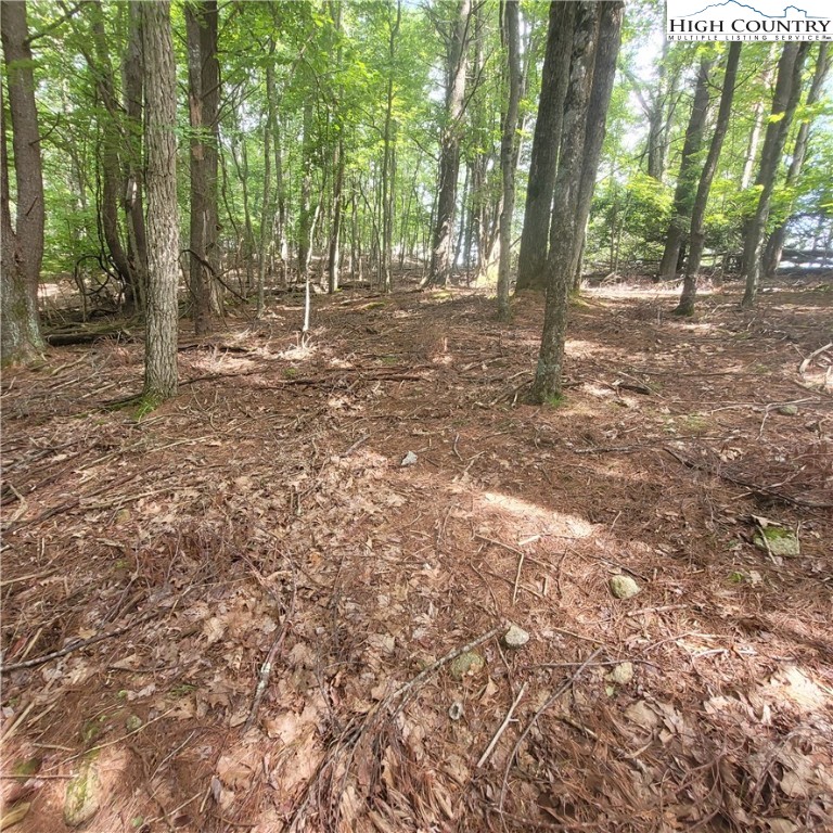 102 Oak Road Beech Mountain, NC 28604 - Photo 4 of 10 a backyard of a house with lots of green space