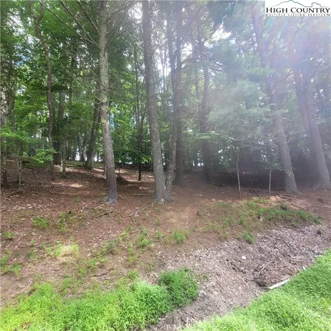 a backyard of a house with lots of green space and garden