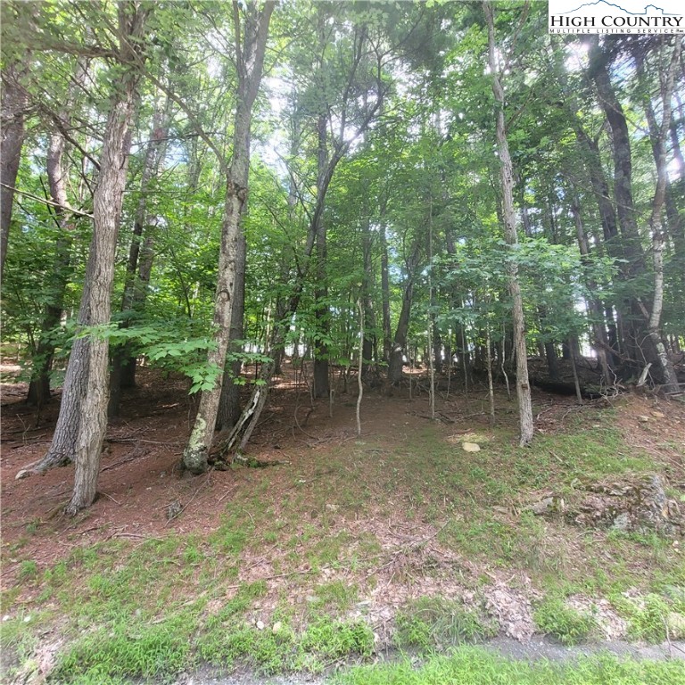 102 Oak Road Beech Mountain, NC 28604 - Photo 7 of 10 a backyard of a house with lots of green space
