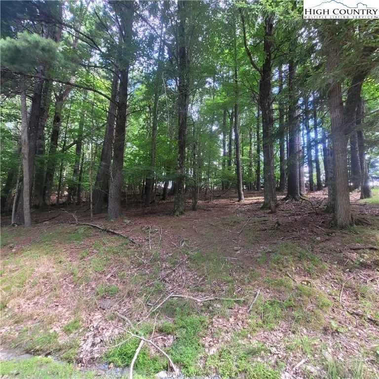 102 Oak Road Beech Mountain, NC 28604 - Photo 8 of 10 a view of outdoor space with trees
