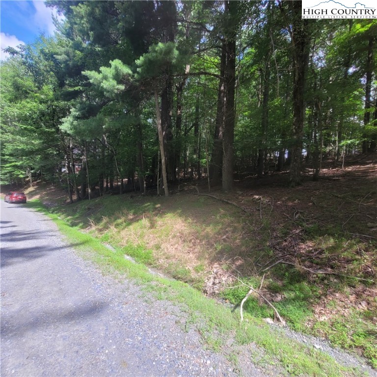 102 Oak Road Beech Mountain, NC 28604 - Photo 9 of 10 a backyard of a house with lots of green space