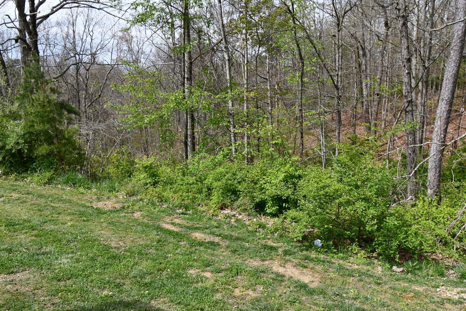 421 Madison View Road Berea, KY 40403 - Photo 11 of 52 Photo 11