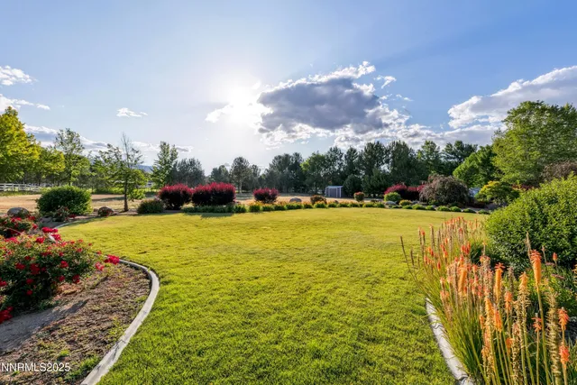 a view of a backyard with plants and lake view