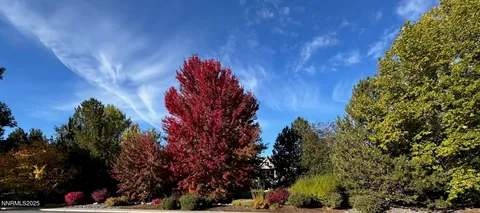 $3,995,000 | 1145 Country Estates Circle, Reno, NV 89511