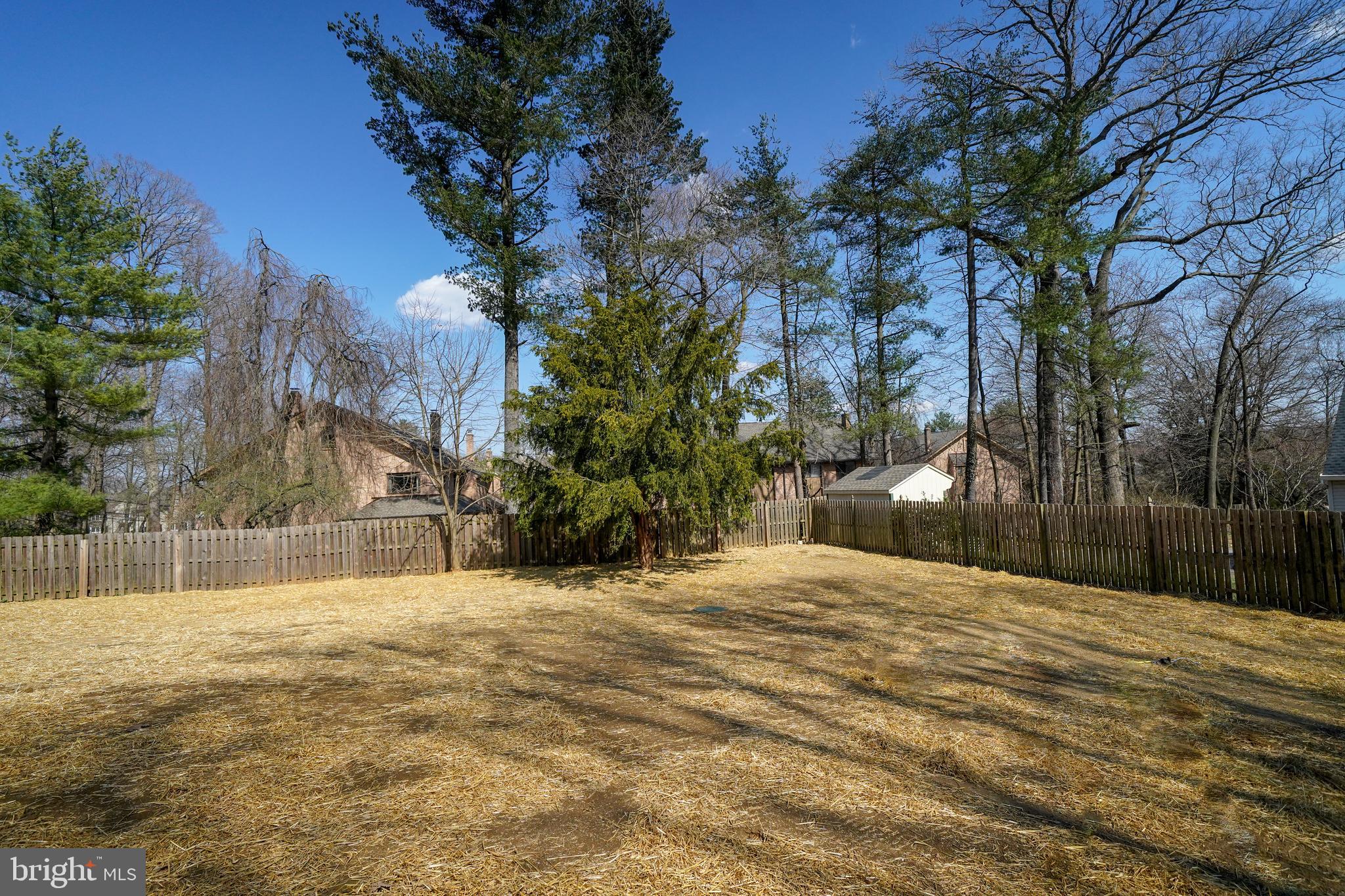 107 Darby Road Paoli, PA 19301 - Photo 53 of 56 Rear Yard