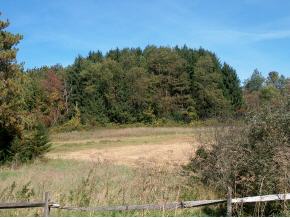 2272 Myers Road Shaftsbury, VT 05262 - Photo 3 of 11 Gallery Image 3