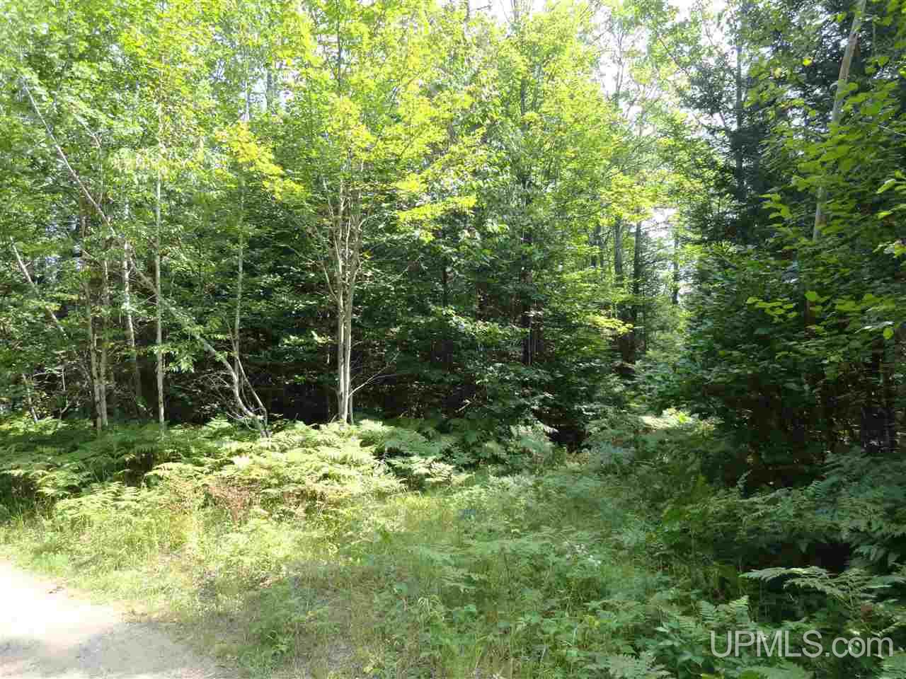 40-acres 40-acres Co Road Ishpeming, MI 49849 - Photo 22 of 36