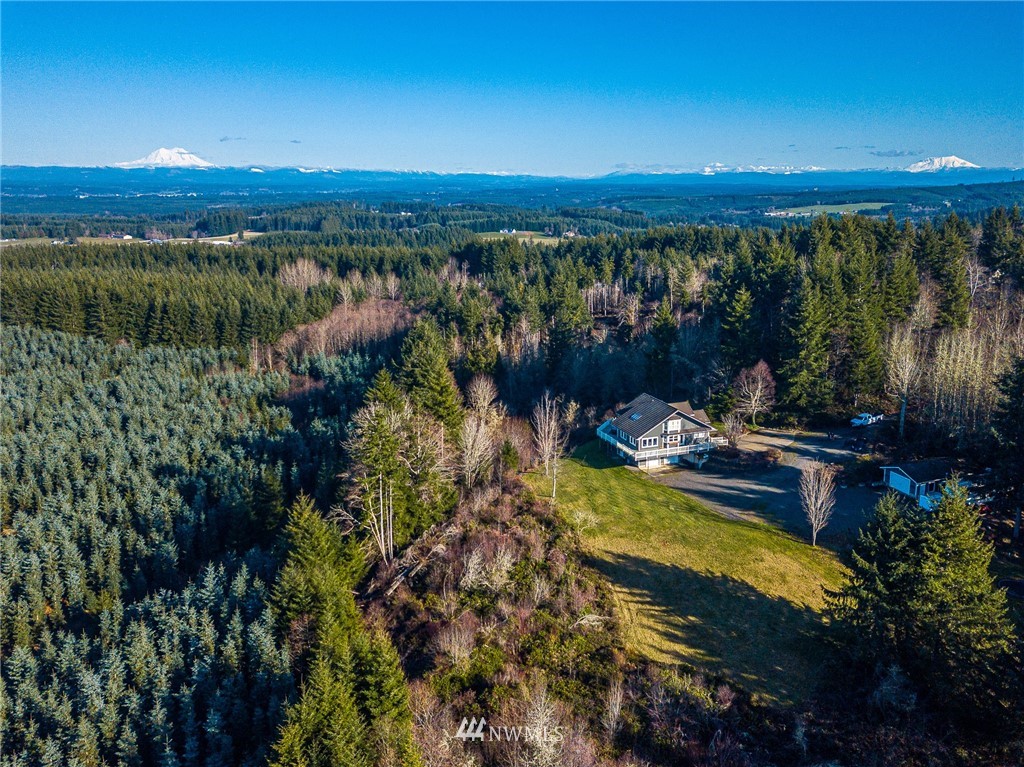 166 Ridgeview Road Chehalis, WA 98532 - Photo 3 of 40 a view of a lake with a mountain view