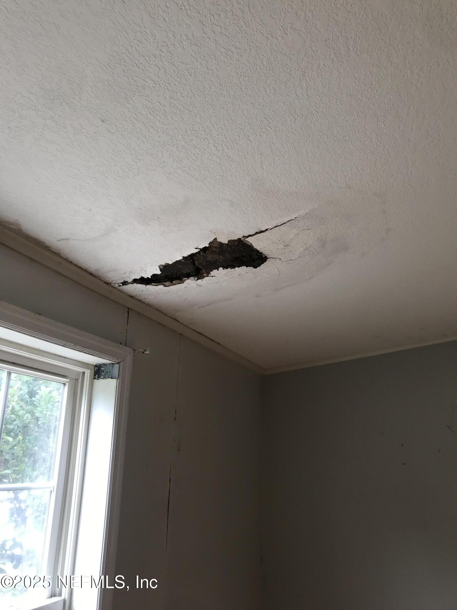 220 Horse Landing Road Satsuma, FL 32189 - Photo 22 of 25 LR Ceiling2