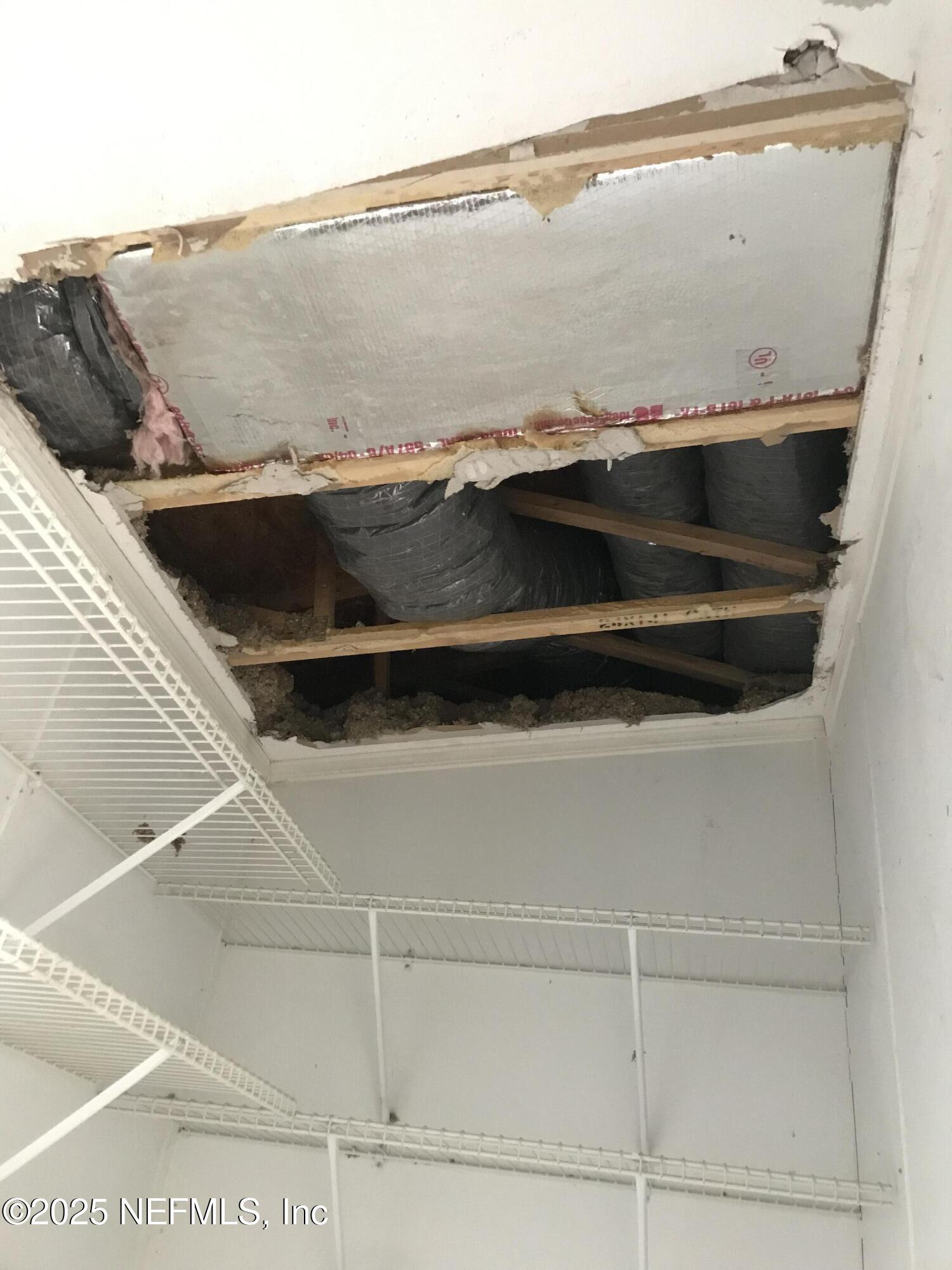 220 Horse Landing Road Satsuma, FL 32189 - Photo 25 of 25 MBR ClosetCeiling
