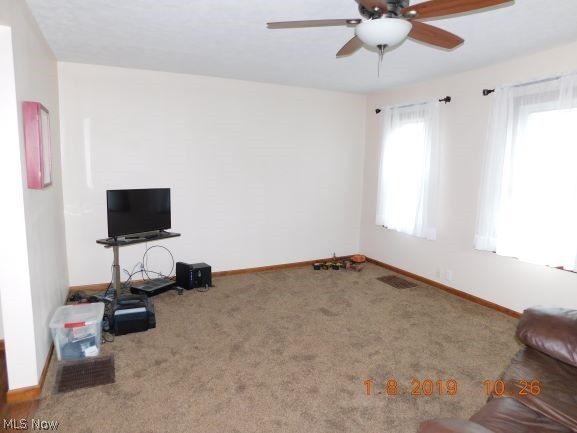 442 South Ridge Road East Geneva, OH 44041 - Photo 20 of 34 Gallery Image 20