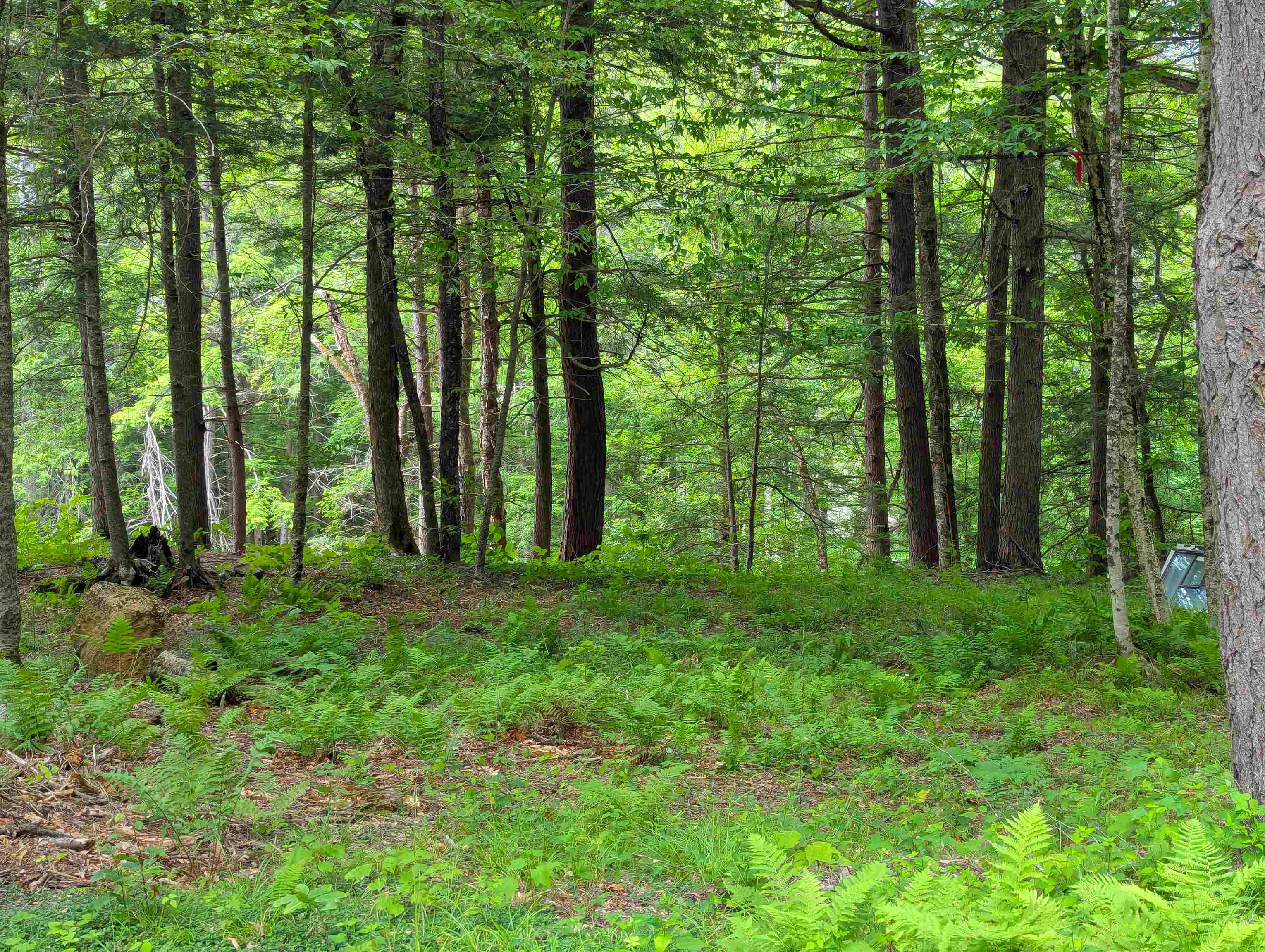 0 Hunter Brook Road South Newfane, VT 05351 - Photo 15 of 16