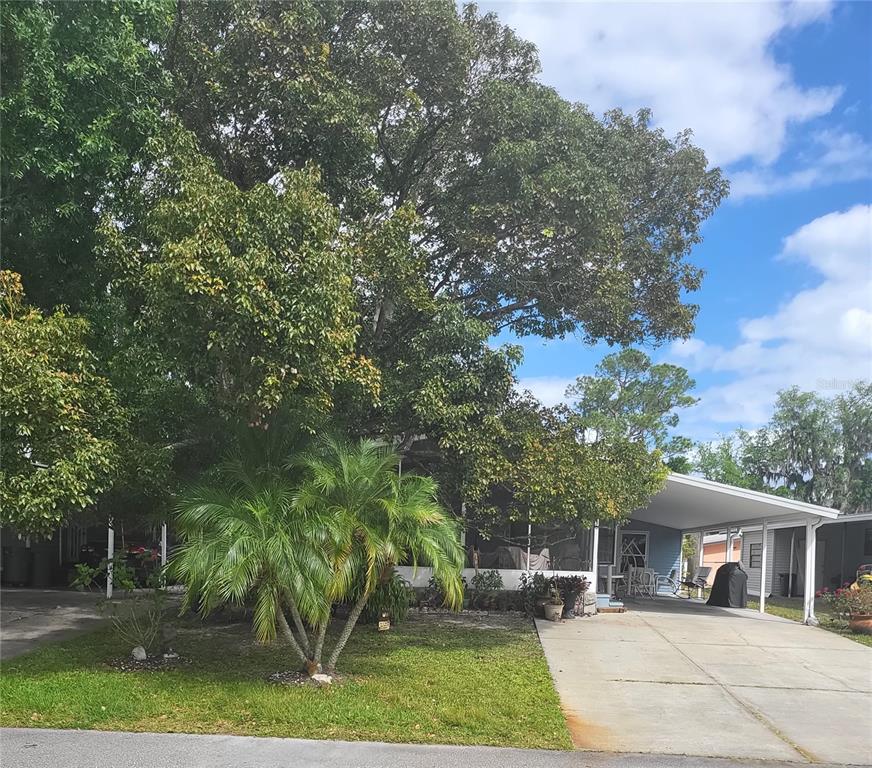 a view of house with outdoor space and trees