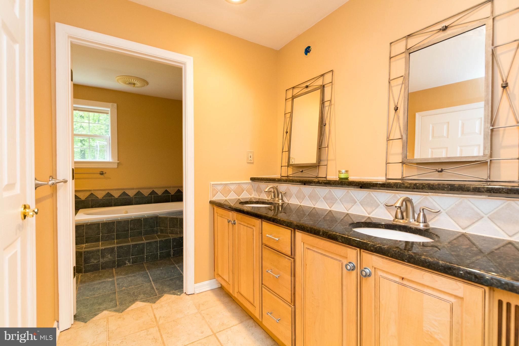 3260 Ady Road Street, MD 21154 - Photo 18 of 30 Bath (Master) with Dual Vanity