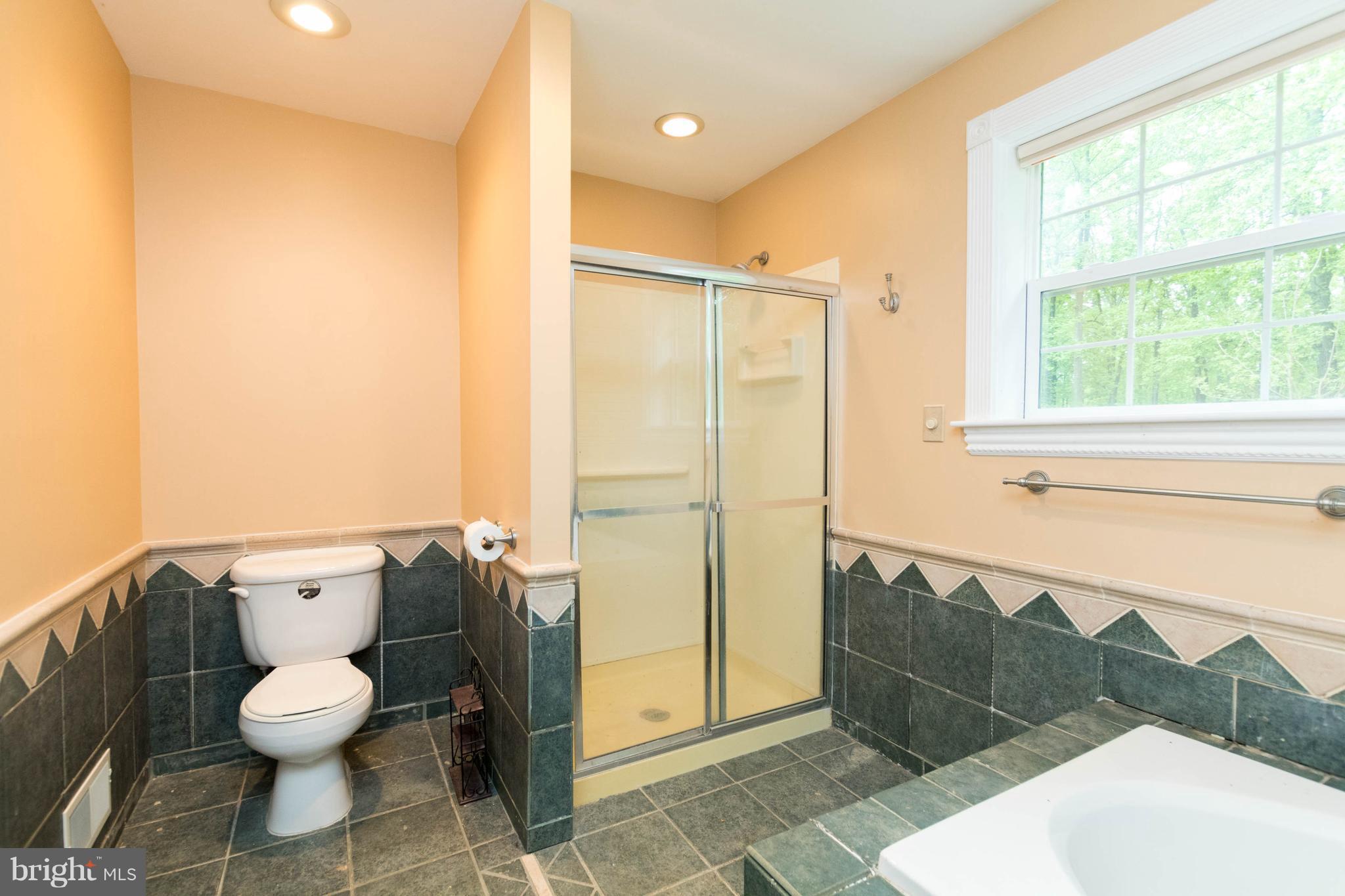 3260 Ady Road Street, MD 21154 - Photo 19 of 30 Bath (Master)
