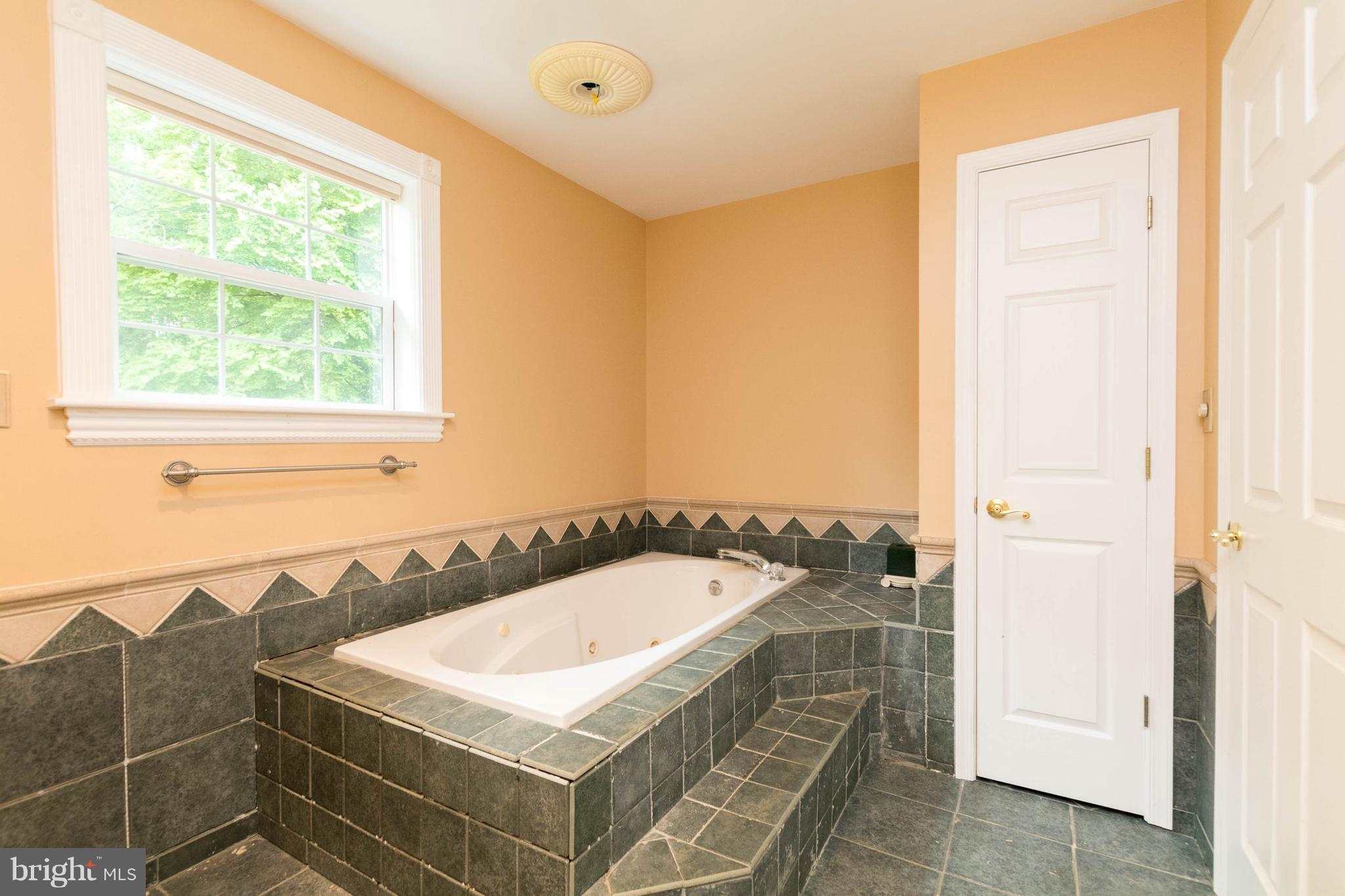 3260 Ady Road Street, MD 21154 - Photo 20 of 30 Bath (Master) with Soaking Tub