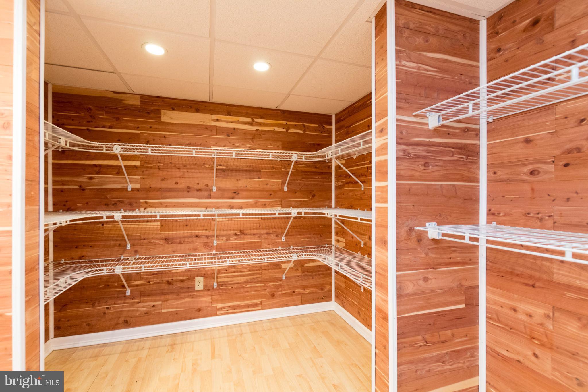3260 Ady Road Street, MD 21154 - Photo 26 of 30 Basement Cedar Closet